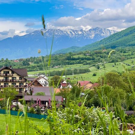 Vila Hora Cu Brazi Zărneşti المظهر الخارجي الصورة