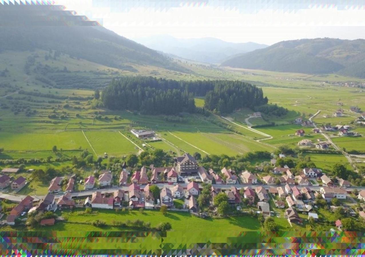 Vila Hora Cu Brazi Zărneşti المظهر الخارجي الصورة