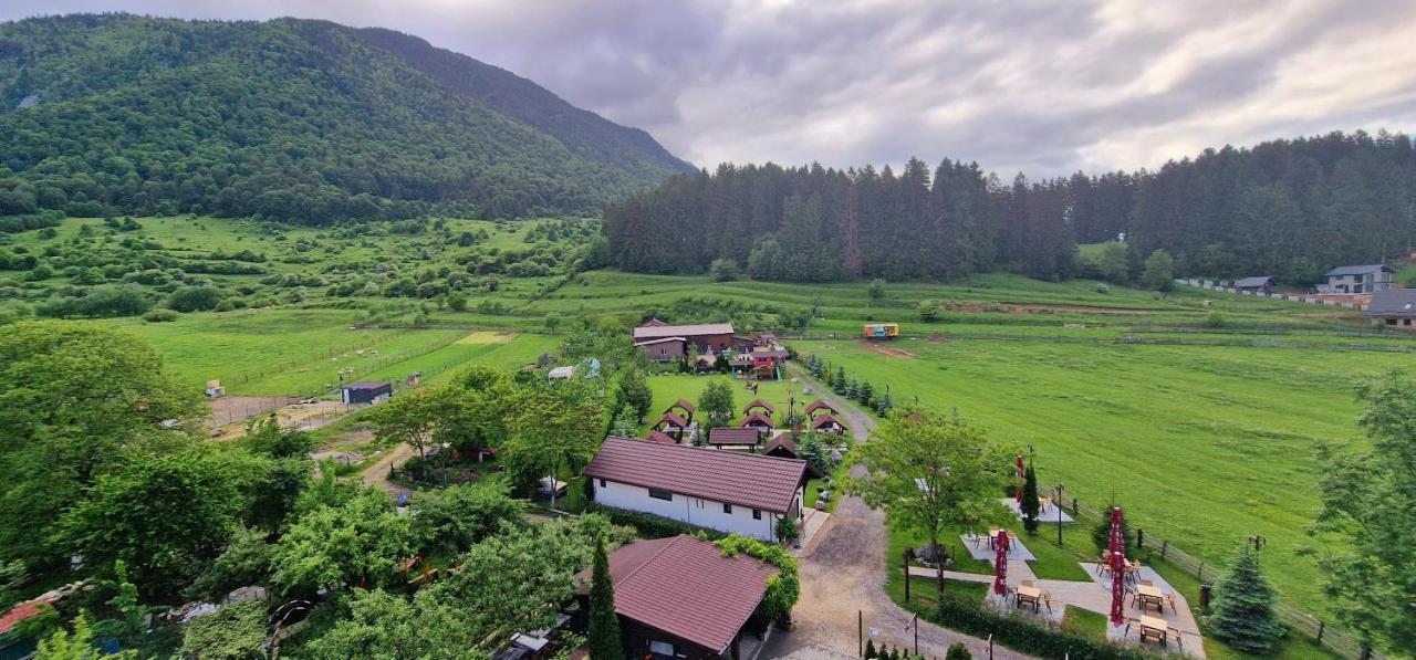 Vila Hora Cu Brazi Zărneşti المظهر الخارجي الصورة