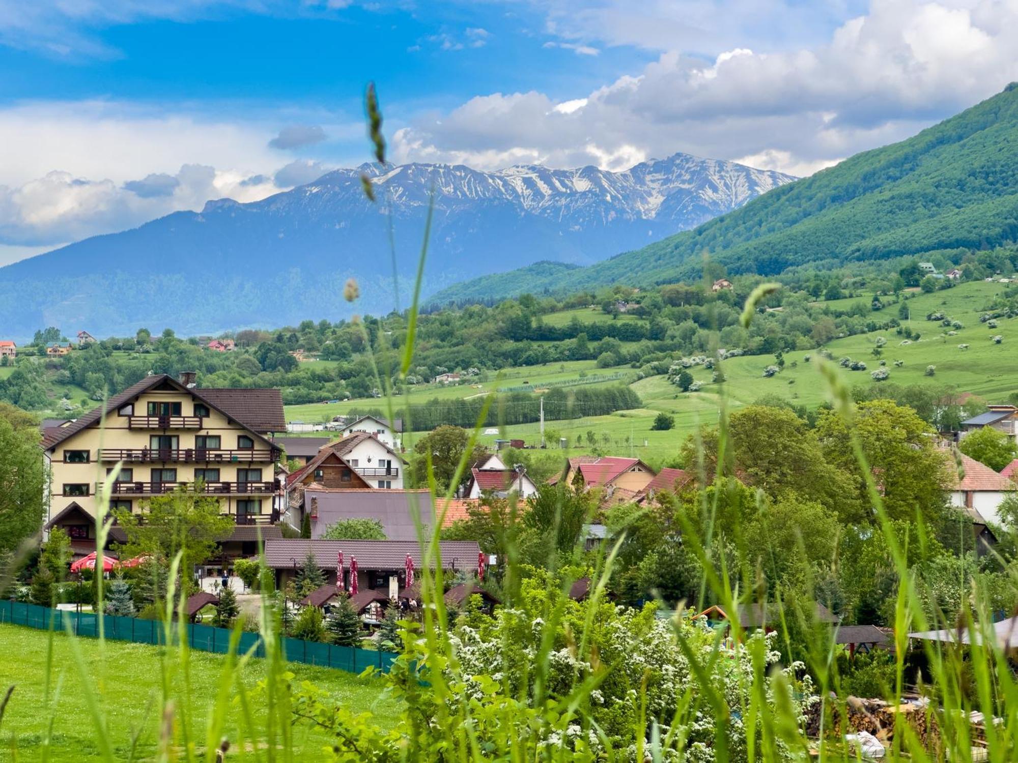 Vila Hora Cu Brazi Zărneşti المظهر الخارجي الصورة